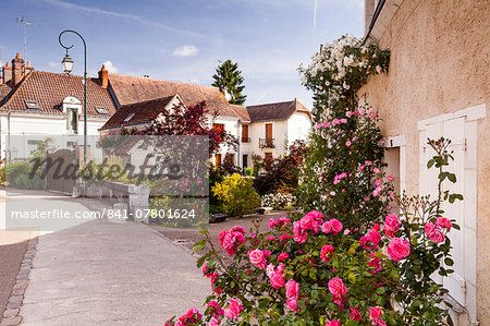 The village of Chedigny, Indre-et-Loire, Centre, France, Europe The village of Chedigny, Indre-et-Loire, Centre, France, Europe