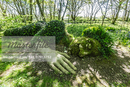 A walk through the Lost Gardens of Heligan, Pentewan, near Mevagissey, Cornwall, England, United Kingdom, Europe