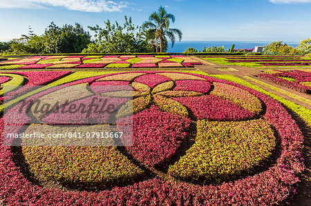 A view of the Botanical Gardens, Jardim Botanico do Funchal, in the city of Funchal, Madeira, Portugal, Europe