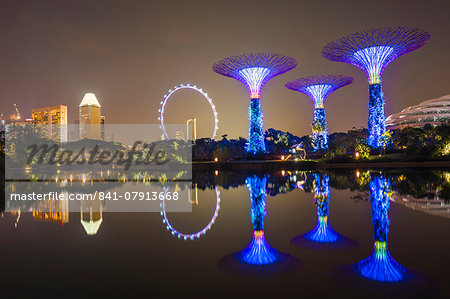 Gardens by the Bay reflecting in the water at night, Singapore, Southeast Asia, Asia