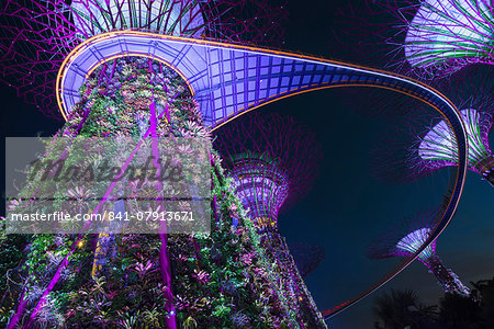 Gardens by the Bay at night, Singapore, Southeast Asia, Asia