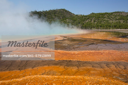 Pool runoff of orange bacteria and algae (Therophiles), Grand Prismatic Pool, Midway Geyser Basin, Yellowstone National Park, UNESCO World Heritage Site, Wyoming, United States of America, North America