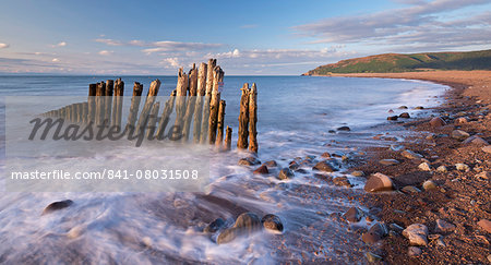 Wooden sea defences at Porlock Bay in Exmoor National Park, Somerset, England, United Kingdom, Europe