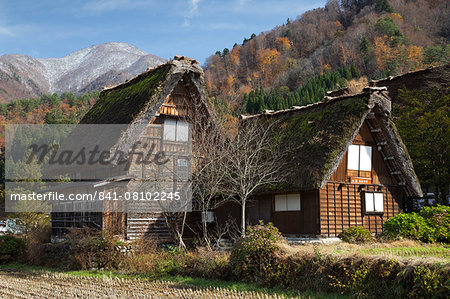 Gassho-zukuri folk houses, Ogimachi village, Shirakawa-go, near Takayama, Central Honshu, Japan, Asia