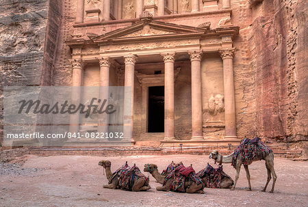 Camels in front of the Treasury, Petra, UNESCO World Heritage Site, Jordan, Middle East