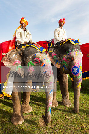 Colorful elephants at the Jaipur elephant festival, Jaipur, Rajasthan, India, Asia
