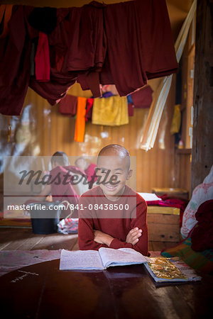 Novice Buddhist monk at a Buddhist monastery at Inle Lake, Shan State, Myanmar (Burma), Asia