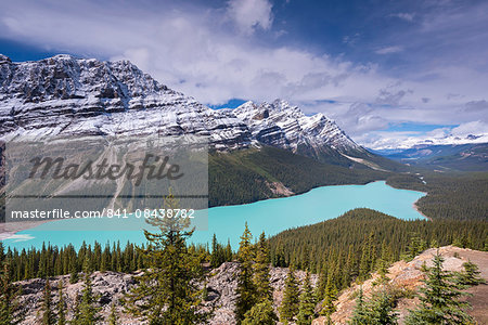 Beautiful Peyto Lake in the Canadian Rockies, Banff National Park, UNESCO World Heritage Site, Alberta, Canada, North America