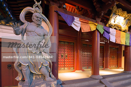 Guardian statue, Buddha Tooth Relic temple, Chinatown, Singapore, Southeast Asia, Asia
