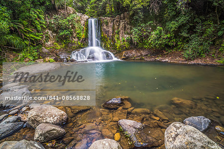 Waiau Falls, a waterfall on Road 309, Coromandel Peninsula, North Island, New Zealand, Pacific