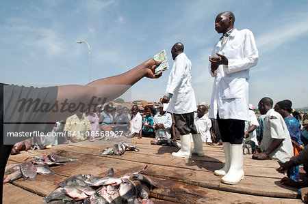 Gabba fish market, Kampala, Uganda, Africa