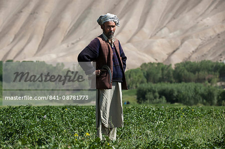 The barren hills of the Bamiyan valley in central Afghanistan appear to promise little, but snowmelt irrigates the fields, Bamiyan Province, Afghanistan, Asia