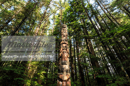 Lakich'inei Pole, Tlingit totem pole, lit by sun in rainforest, Sitka National Historic Park, Sitka, Baranof Island, Alaska, United States of America, North America