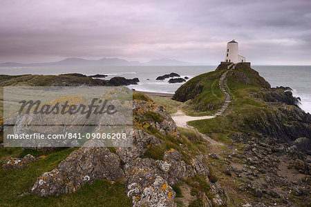 The lighthouse at the edge of Llanddwyn Islan, under a pink cloudy sky, Anglesey, Wales, United Kingdom, Europe