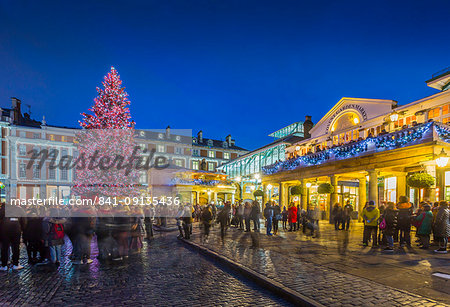 View of Christmas Tree in Covent Garden at dusk, London, England, United Kingdom, Europe