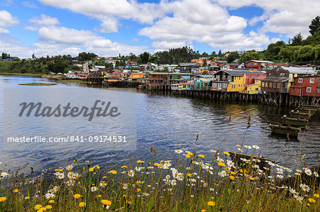 Palafitos, colourful stilt houses on water's edge, unique to Chiloe, with wild flowers, Castro, Isla Grande de Chiloe, Chile, South America