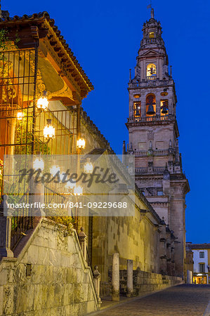 The bell tower of the Mosque-Cathedral during the blue hour, Cordoba, Andalusia, Spain, Europe