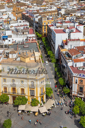 View from the Giralda Bell Tower down to the Virgen de los Reyes square, Seville, Andalusia, Spain, Europe