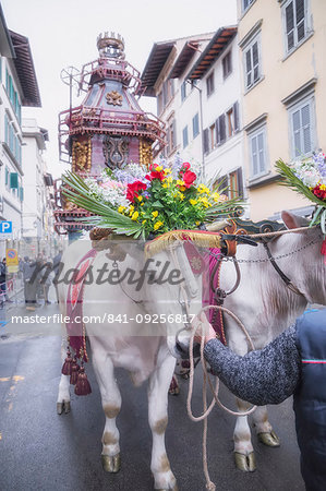 An ornate Ox cart for the Explosion of the Cart festival (Scoppio del Carro ) where on Easter Sunday a cart of pyrotechnics is lit, Florence, Tuscany, Italy, Europe