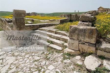 Roman ruins, Dougga