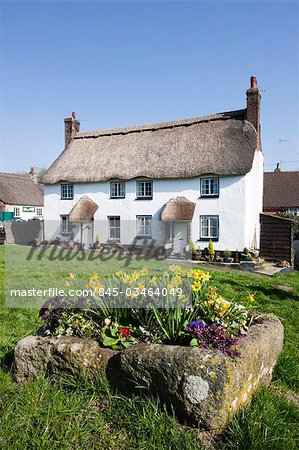 Thatched cottages on the village green in Lustleigh, Dartmoor, Devon, England UK