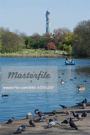 Boating Lake with pigeons in foreground and BT tower in background, Regent's Park, London, NW1, England