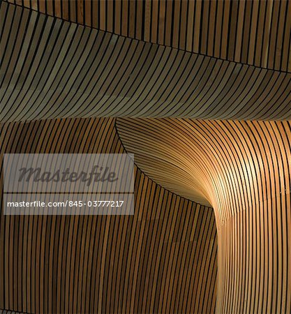 National Assembly For Wales Cardiff Interior Detail Of Curved