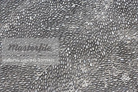 Madeira. Birdseye view of pattern of grey cobblestones