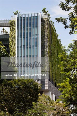 School of the Arts Singapore (SOTA) by WOHA, Singapore. Arts school for children and young adults. Architects: WOHA