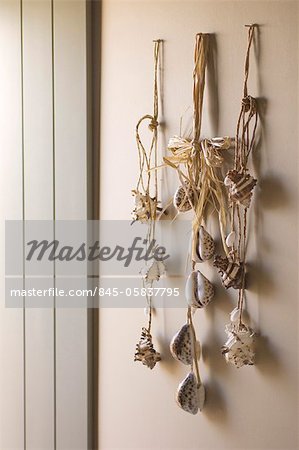 Rope hanging with sea shells
