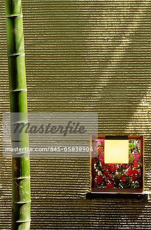 Bamboo in front of textured screen with pink flowers