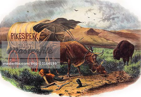 1800s 1859 DEAD PIONEER UNDER COVERED WAGON PIKES PEAK OR BUST SLOGAN OXEN BISON VULTURES COLORADO GOLD RUSH