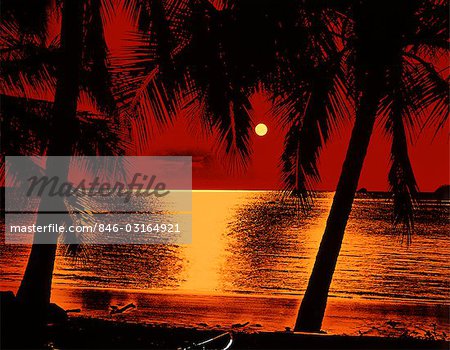 1960s 1970s RED YELLOW POSTERIZED SUNSET SILHOUETTED PALM TREES TROPICAL BEACH