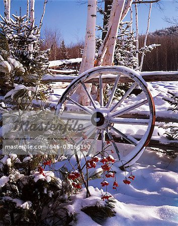 WAGON WHEEL LEANING AGAINST WOODEN FENCE BY TREES COVERED IN SNOW WINTER SCENIC
