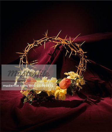 1990s CROWN OF THORNS WITH FLOWERS