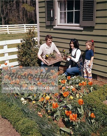 1970s MOTHER FATHER DAUGHTER PLANTING FLOWERS IN GARDEN