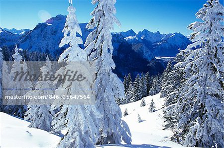 SCENIC WINTER LANDSCAPE TREES AND MOUNTAINS COVERED IN SNOW