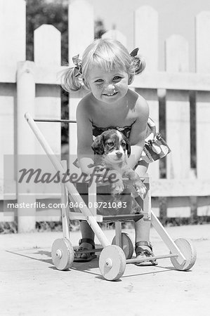 1950s SMILING GIRL WITH BLONDE PIGTAILS LOOKING AT CAMERA PUTTING SPRINGER SPANIEL DOG PUPPY INTO DOLL BABY CARRIAGE 1950s SMILING GIRL WITH BLONDE PIGTAILS LOOKING AT CAMERA PUTTING SPRINGER SPANIEL DOG PUPPY INTO DOLL BABY CARRIAGE