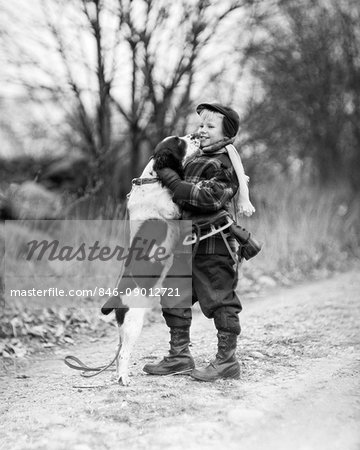 springer spaniel winter coat