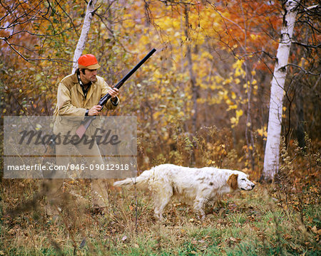 1960s 1970s MAN HUNTER WITH SHOTGUN IN AUTUMN LANDSCAPE PHEASANT HUNTING WITH ENGLISH SETTER GUN DOG ON POINT