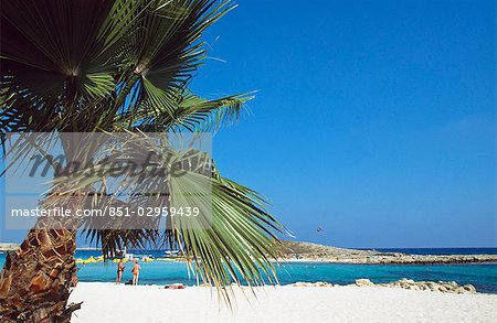 Palm tree,beach,Nissi Bay,Cyprus