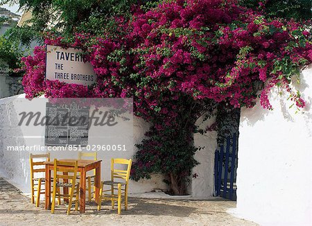 Bougainvillea,Taverna.,Argo Saronic Islands,Greece.