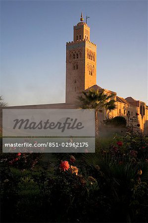 Mist rising from rose gardens by Minaret of Koutoubia Mosque at dawn,Marrakesh,Morocco