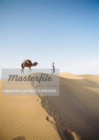 'Blue Man' (tribe of Saharan traders) with camel at dawn in dunes. Tinfou near Zagora,Morocco