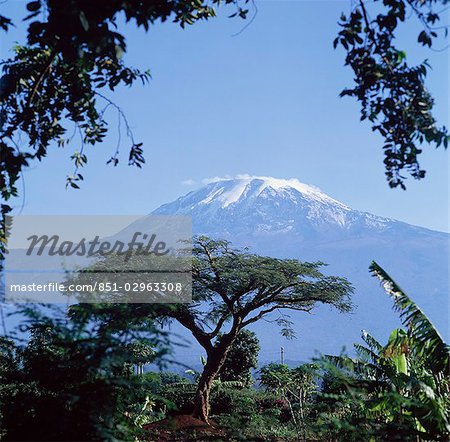 Mt. Kilimanjaro,Moshi,Tanzania