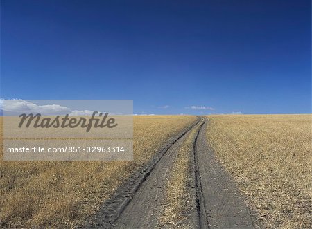 Track through the grasslands on the way to Lake Natron,Tanzania. Track through the grasslands on the way to Lake Natron,Tanzania.