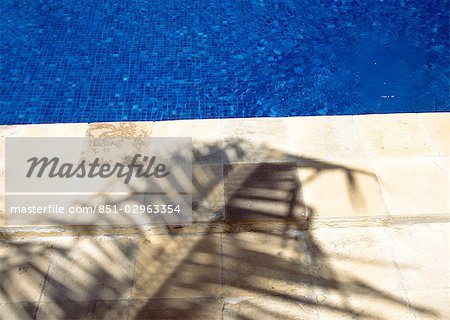 Shadow of palm frond beside the swimming pool of The Palms Hotel,near Paje,Zanzibar,Tanzania.