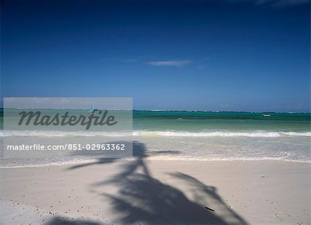 Shadows of palm trees,Matemwe beach,Zanzibar,Tanzania Shadows of palm trees,Matemwe beach,Zanzibar,Tanzania