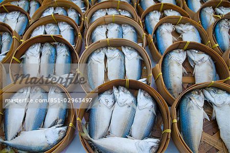 Steamed fish on market stall,Khong Chiam district,Ubon Ratchathani,Isan,Thailand