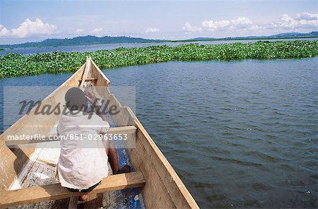 Masses of water hyacinth collecting downwind on Lake Victoria.  Uganda.